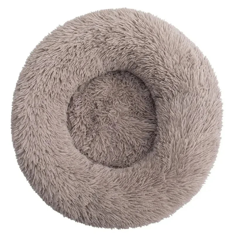 Pet Bed