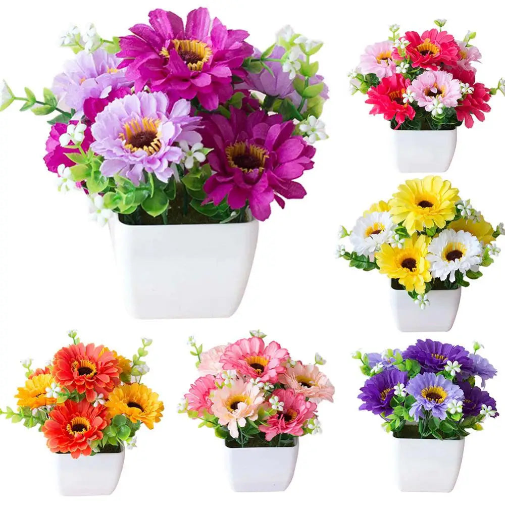 Chrysanthemum Flower