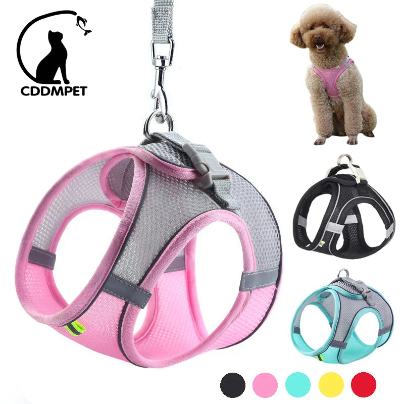 Dog Harness Set
