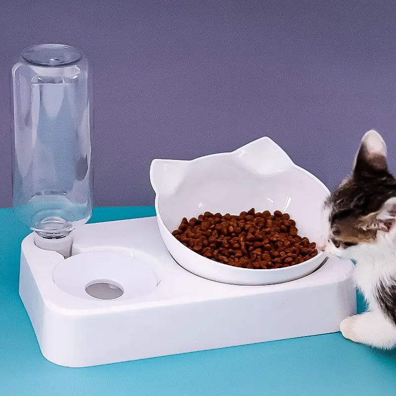 Vertebrae Dog Food Bowl