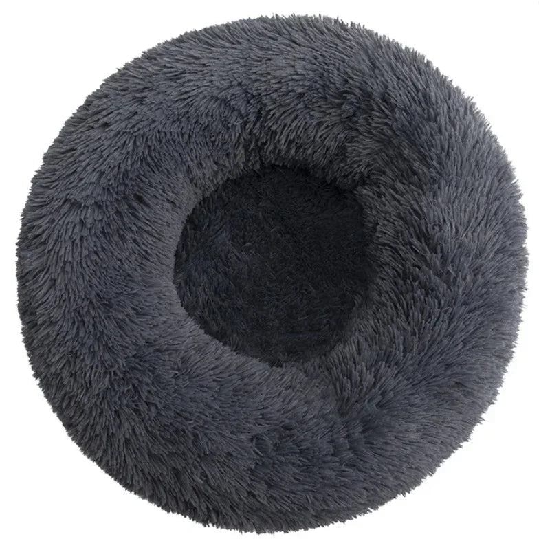 Pet Bed