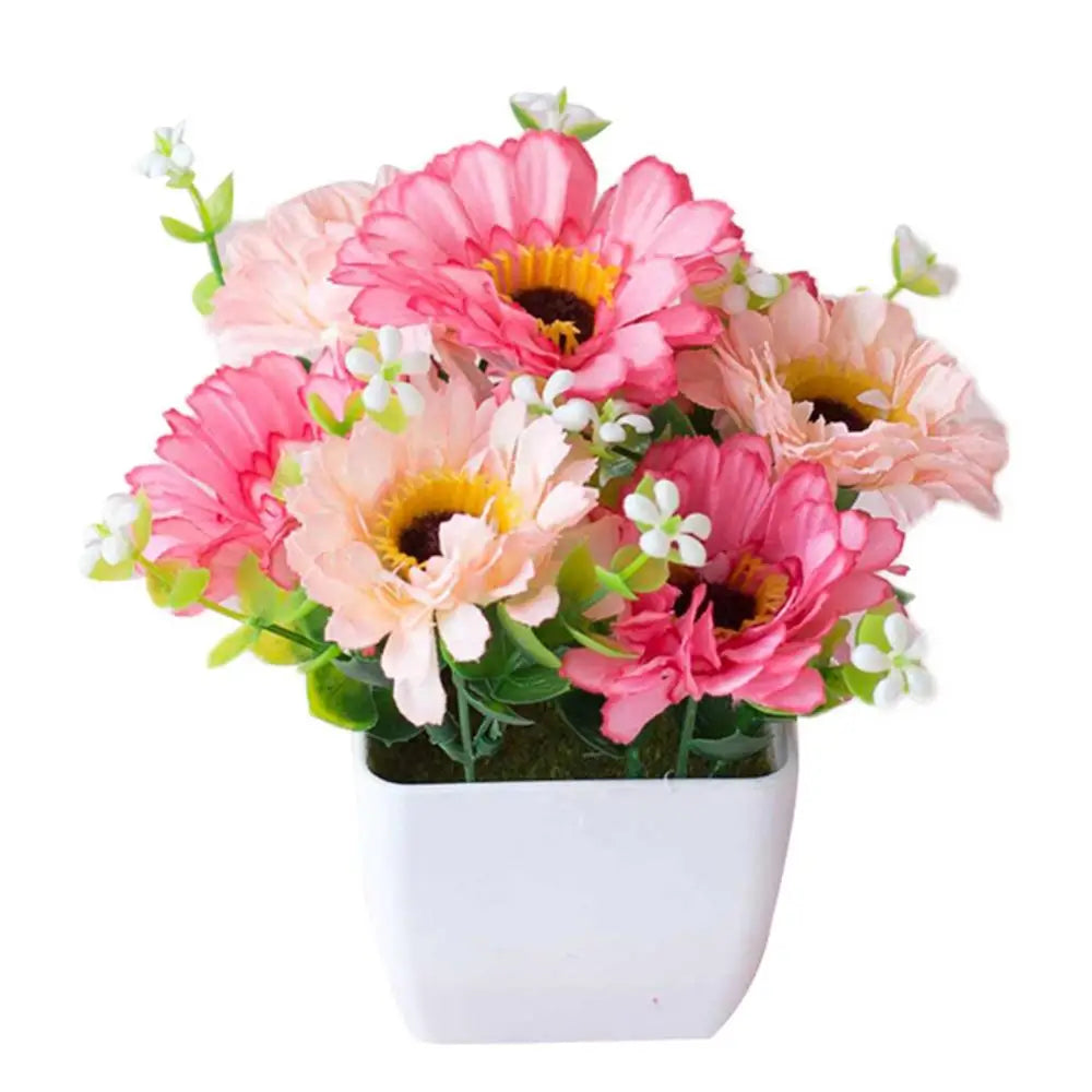 Chrysanthemum Flower