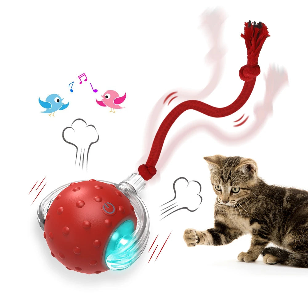 Cat Toy Ball