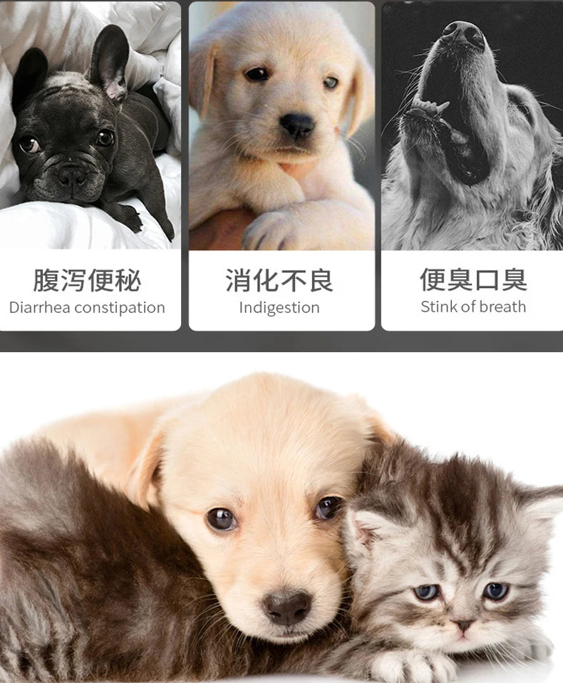 Pet Probiotics