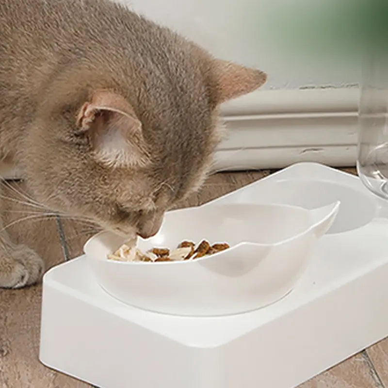 Vertebrae Dog Food Bowl