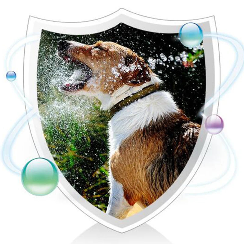 Pet Probiotics