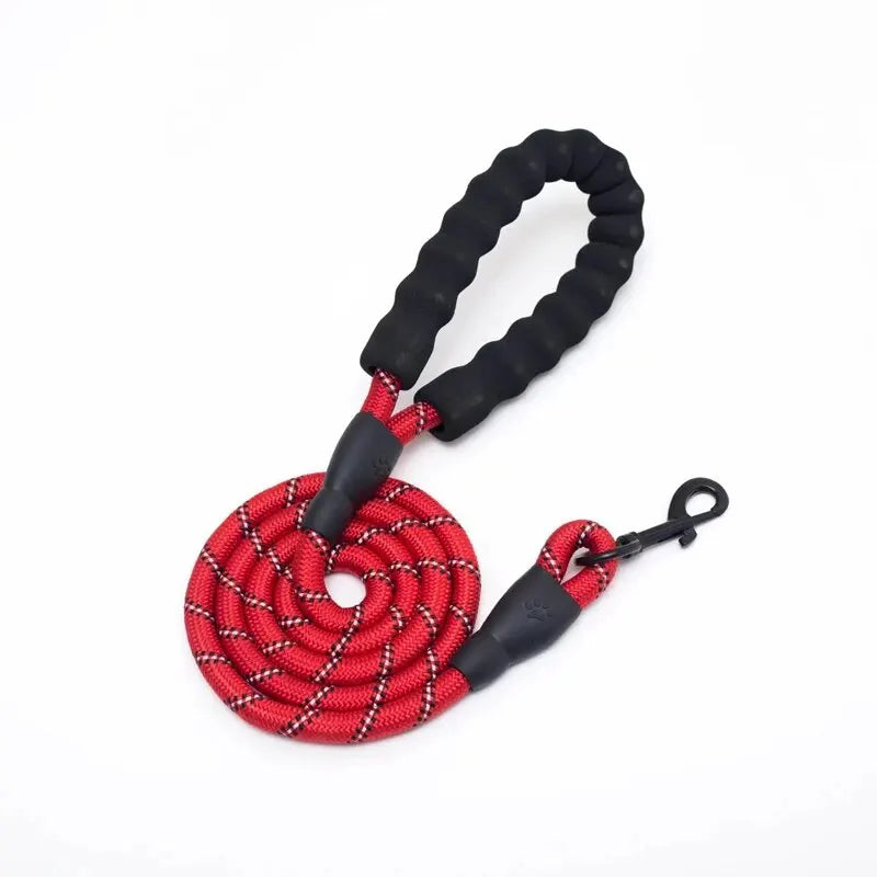 Reflective Leash