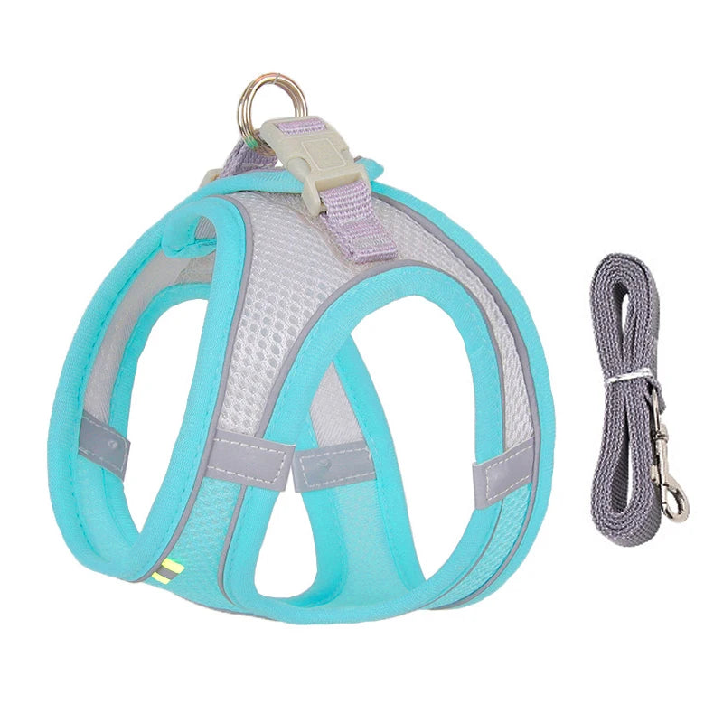 Dog Harness Set
