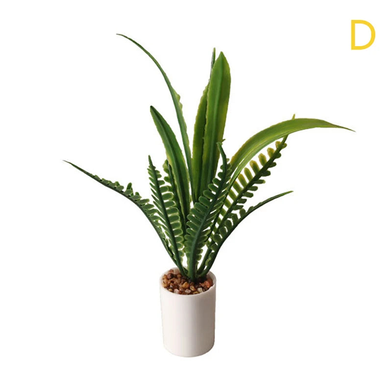 Mini Plant