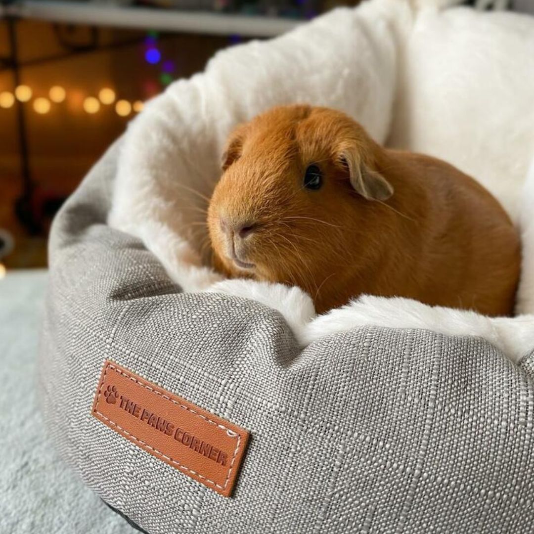 Pet Cave Bed